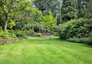 Optimiser l'expérience du jardin à Bougneau